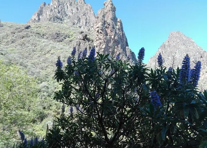 Chalet Rutas De